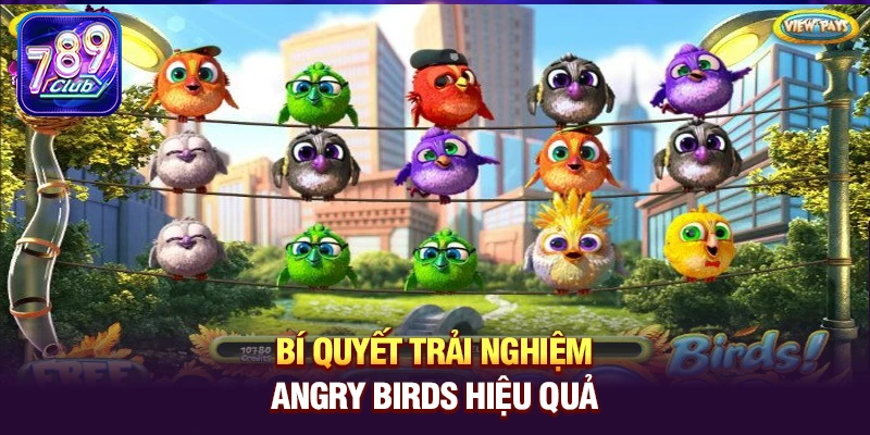 bi quyet trai nghiem angry birds hieu qua Bí quyết trải nghiệm Angry Birds hiệu quả
